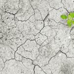 Recurso fotografía cambio climático Recurso fotografía cambio climático