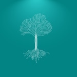 BBVA-sostenibilidad-informe-big-data-research BBVA-sostenibilidad-informe-big-data-research