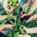 BBVA-pacto-verde-desarrollo-sostenibilidad-planeta-cuidado-medioambiente BBVA-pacto-verde-desarrollo-sostenibilidad-planeta-cuidado-medioambiente