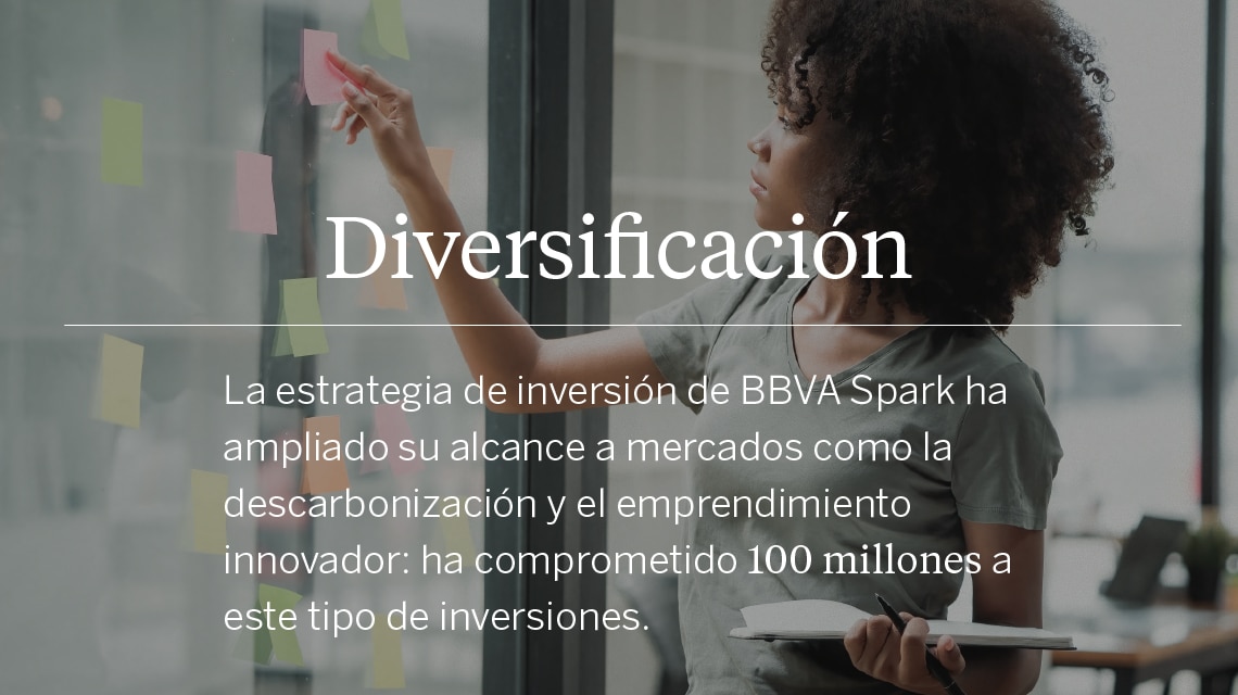 diversificacion-desktop