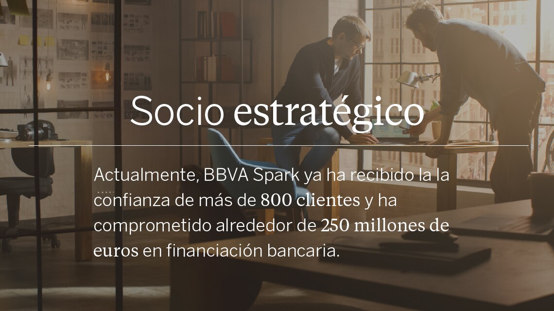 socio-estrategico-desktop